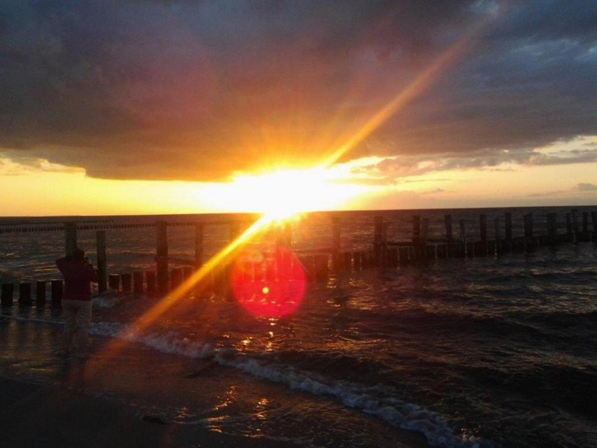 Residenz Am Strand Wohnung 2-43 ซิงสท์ ภายนอก รูปภาพ